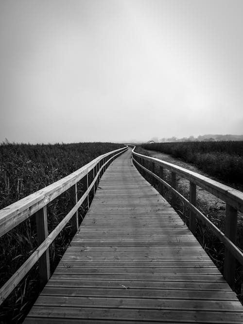 Black and white perspective walkway with railings running away on grassy coast in mist