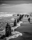 Rocks on gloomy sandy shore of ocean