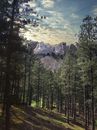 Mount Rushmore with statues of USA Presidents in national park
