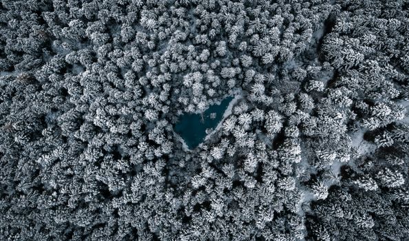 在德国格拉瑙，无人机拍摄到一片白雪皑皑的森林，其中隐藏着一个湖泊