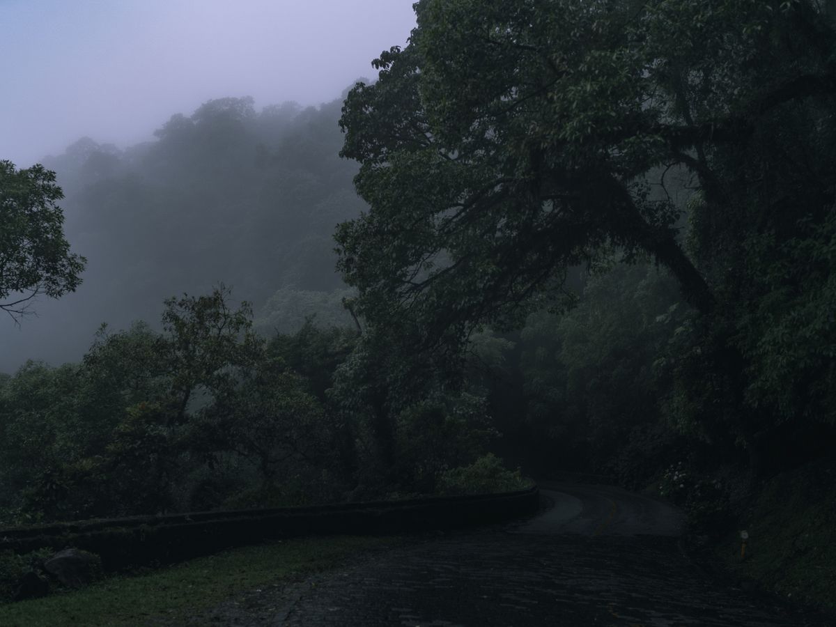 7 Day New Year's Yoga Retreat at Vida Asana in Costa Rica 1