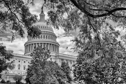 無料 アメリカ合衆国議会議事堂, グレースケール写真, ランドマークの無料の写真素材 写真素材