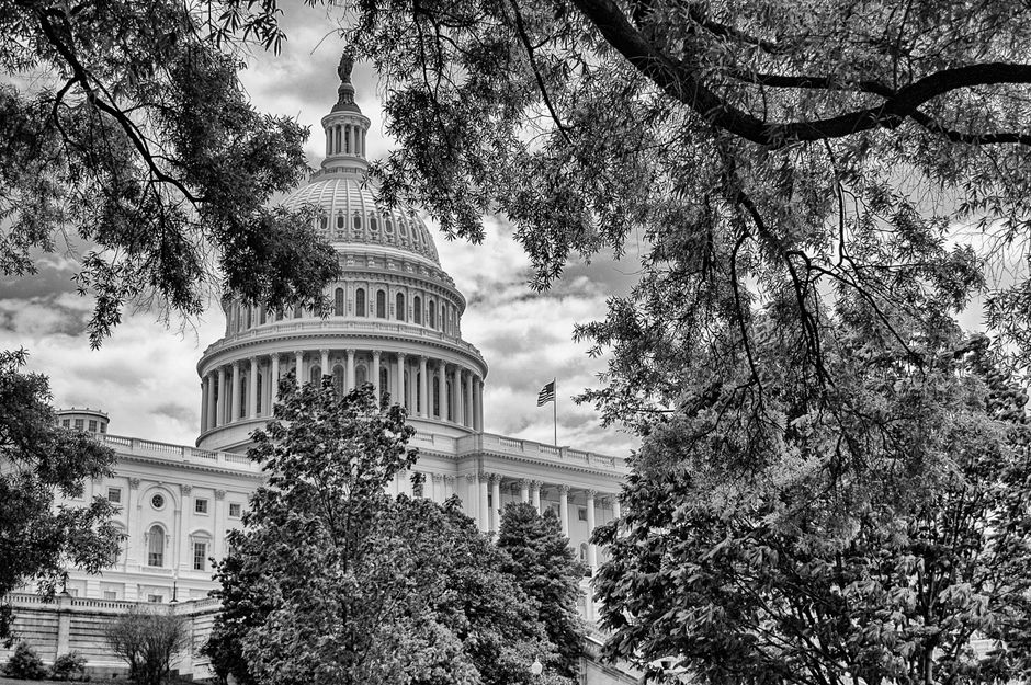 Black Reps Left Off Federal Advisory Council on Rights and Inclusion