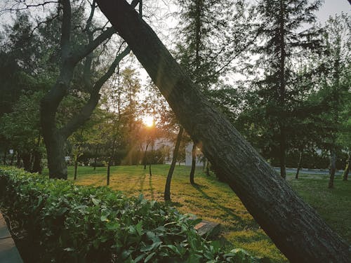 Free stock photo of akşam güneşi, anlık fotoğraf, güneş