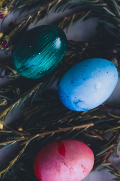 Multicolored painted eggs on pine twigs for Easter holiday
