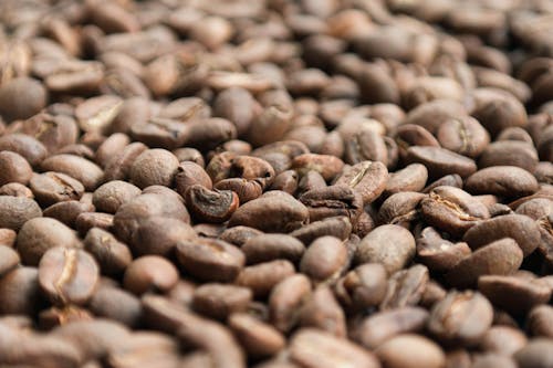 Coffee Beans in Close Up