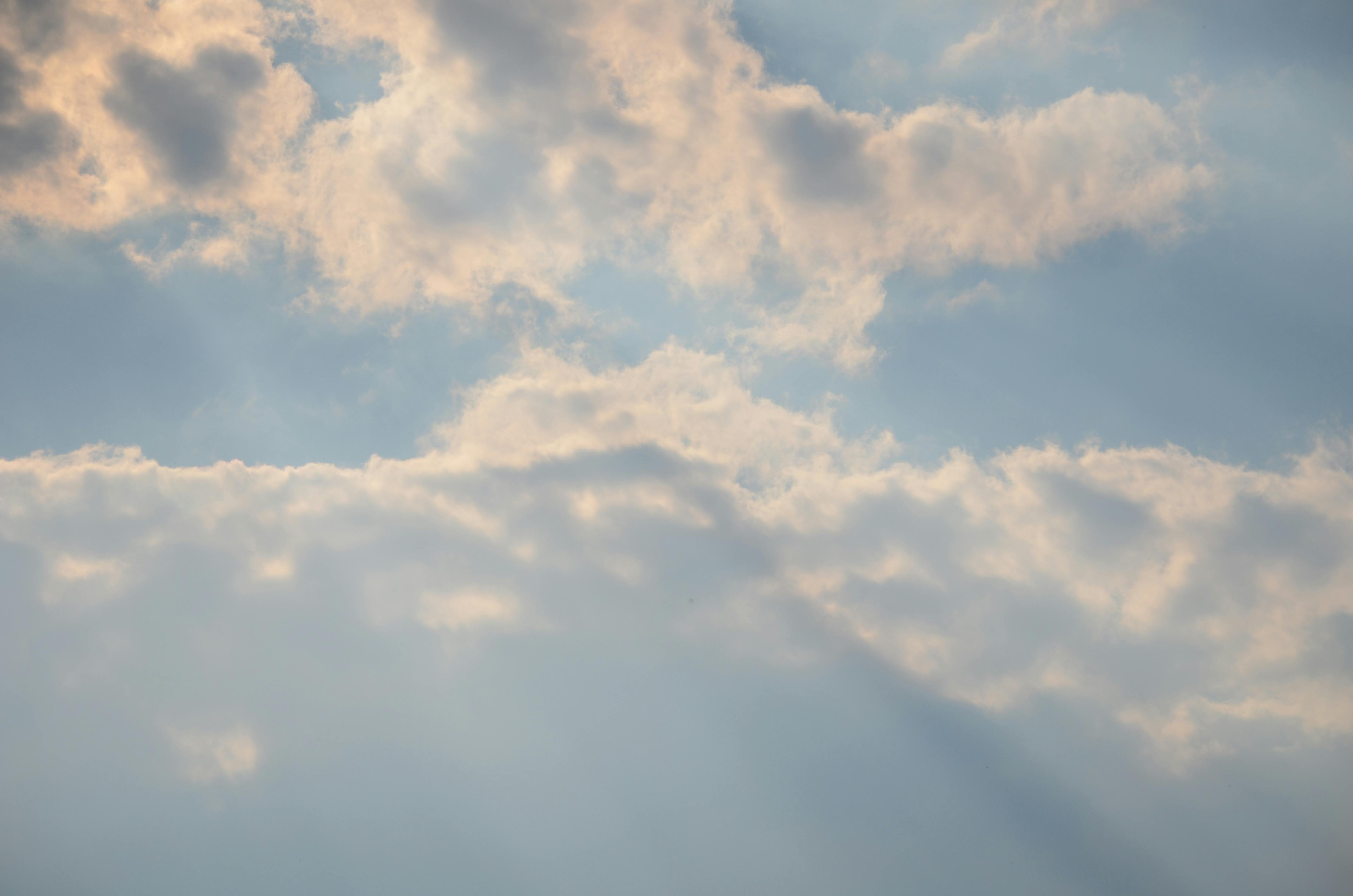 Kostenloses Foto zum Thema helle farben