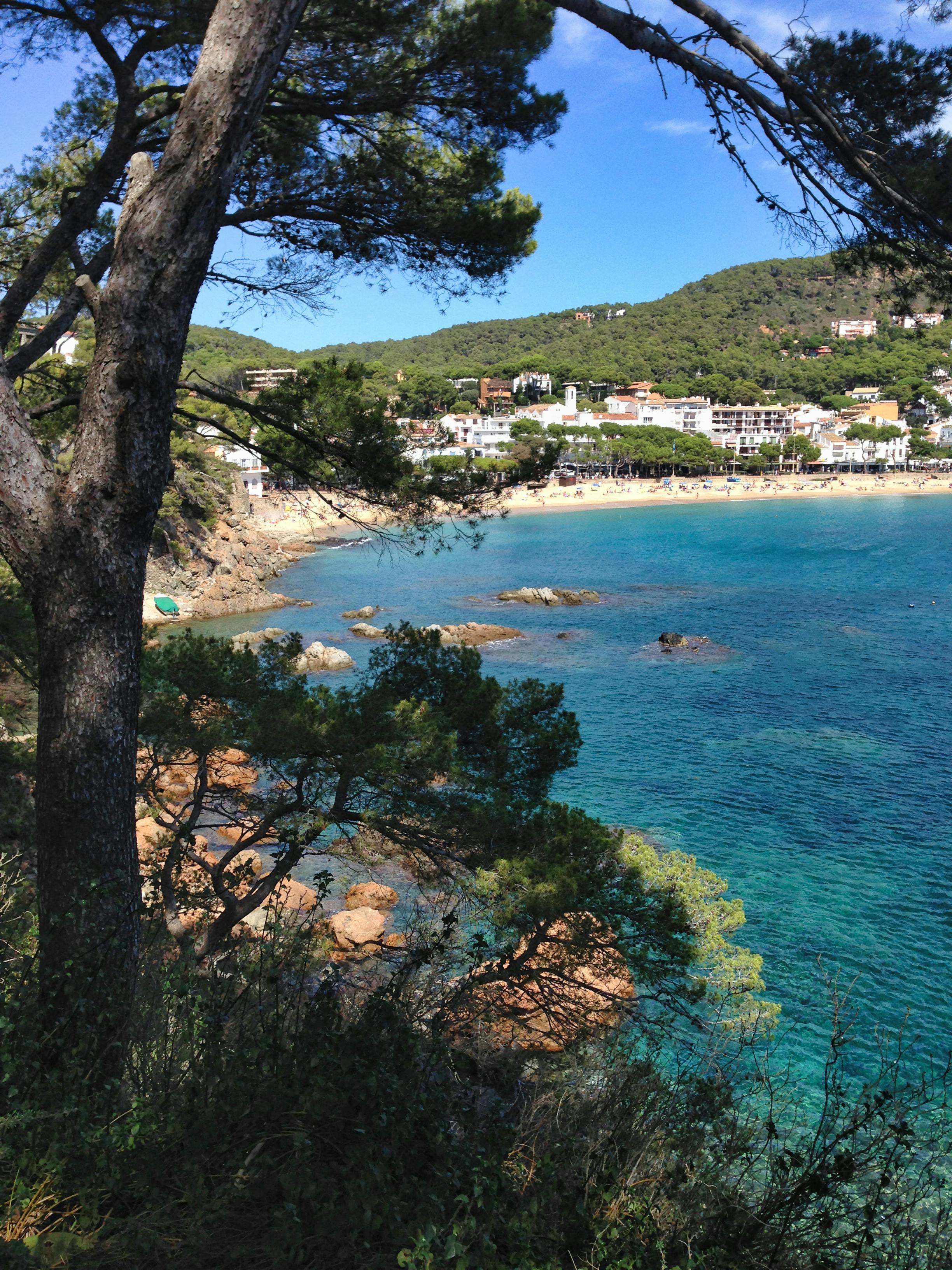 The Kensington Body Polish