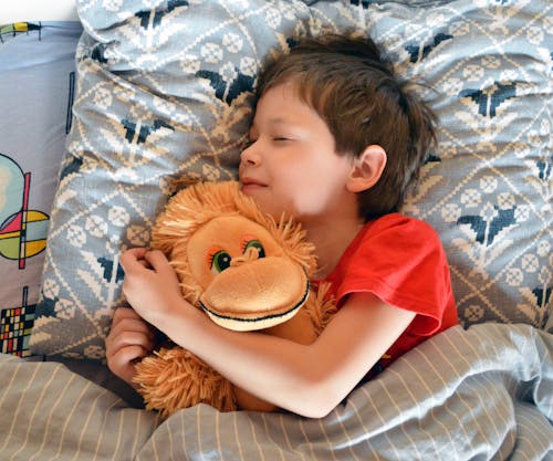 Adorable kid sleeping in bed with toy