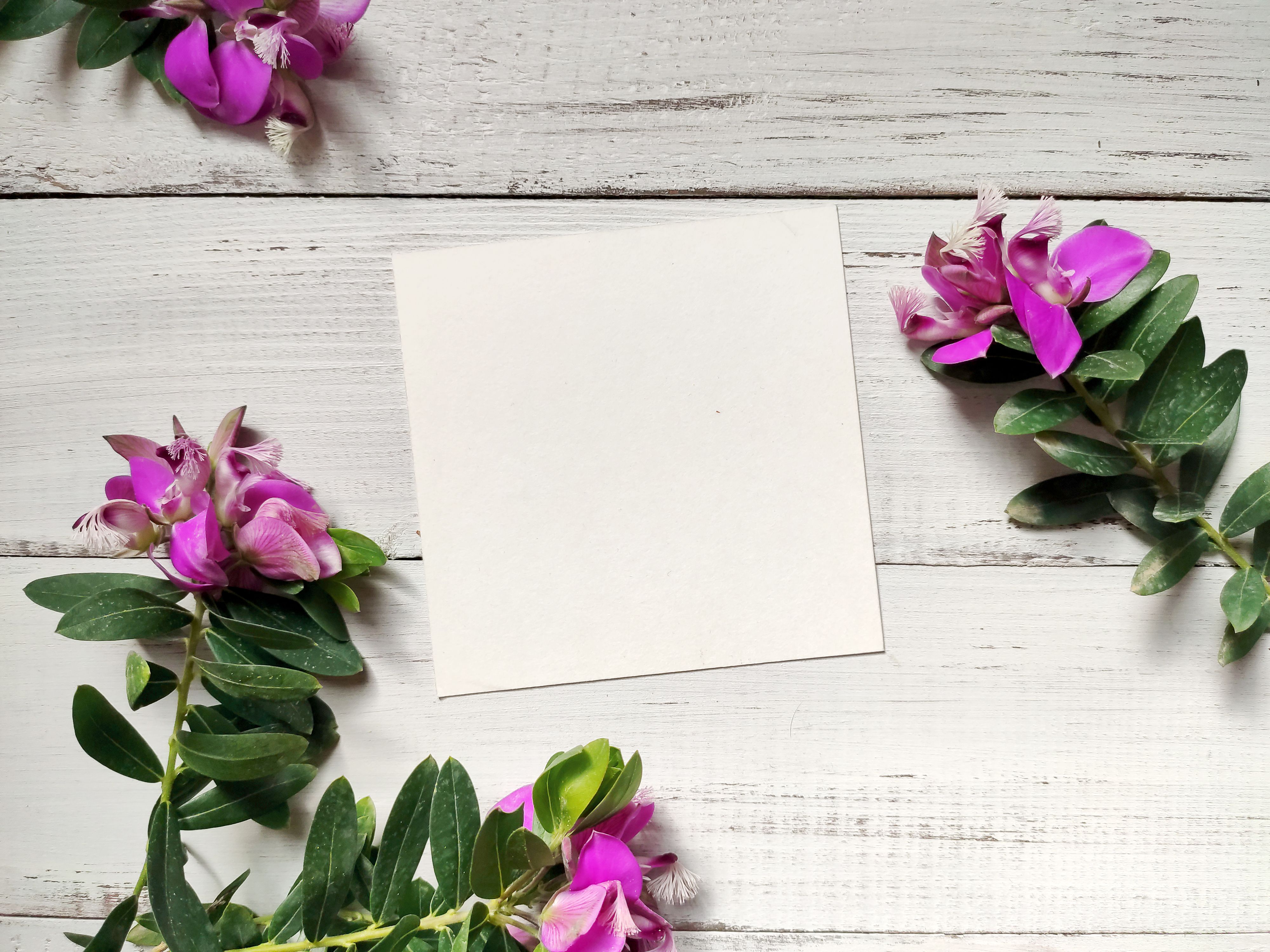 Free Stock Photo Of Card Blank Card Template Flatlay Mockup
