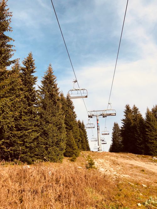 Free Picturesque view of clearing covering with dry grass in fir forest with ropeway over mountain slope in sunny autumn day Stock Photo