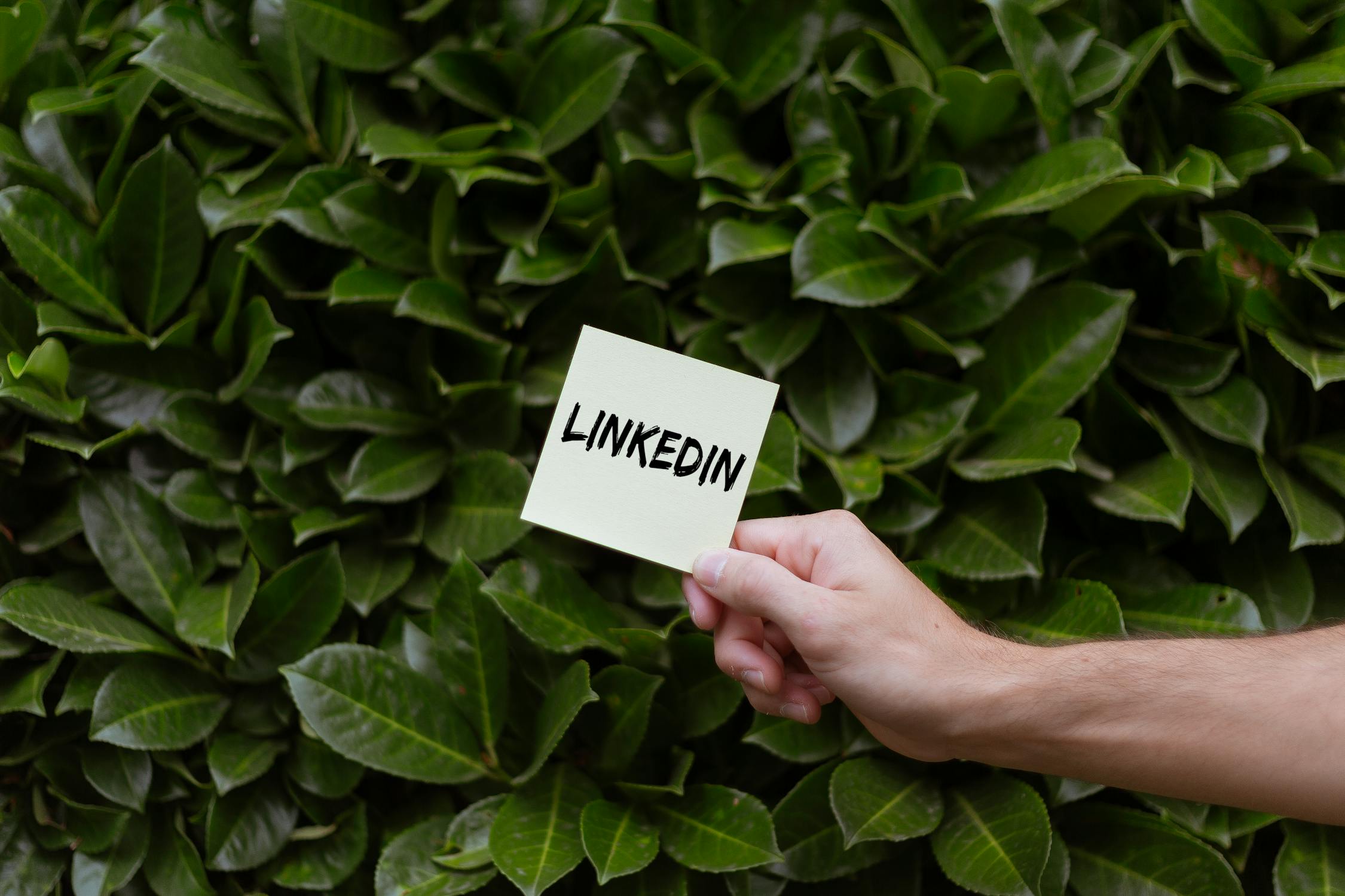 Top Ten Tips on how to boost your chances of being approached on LinkedIn