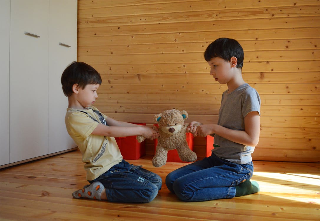 Side view full body fighting brothers in casual wear sitting on floor and pulling teddy bear to sides at home