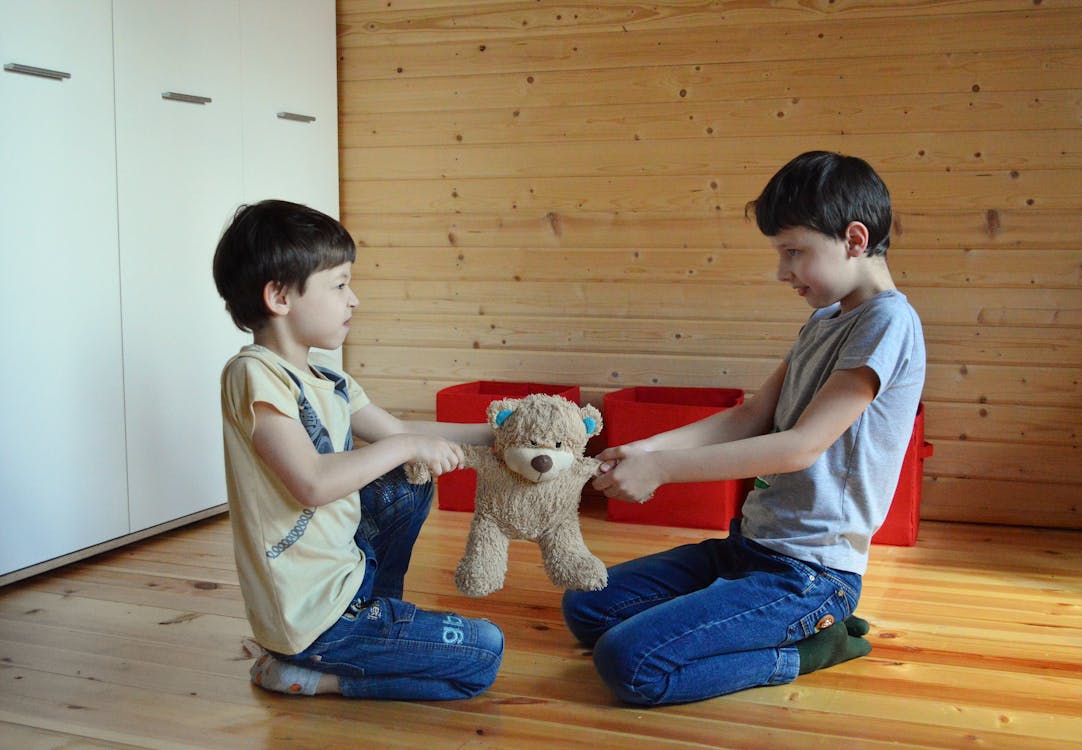 Side view full length irritated fighting brothers sitting on floor and pulling teddy bear to sides