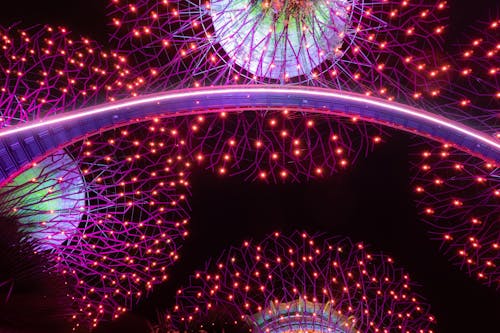 Colorful lights on high futuristic metal trees