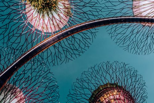 Free From below amazing view of contemporary tall tree like constructions with creative peaks illuminated by bright lights against dark evening sky in Singapore Stock Photo