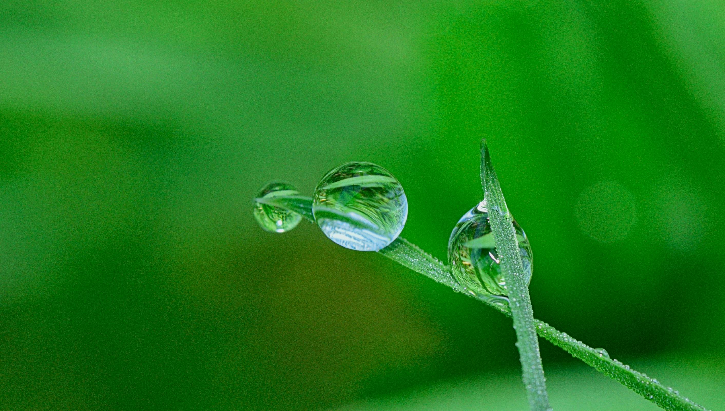 How to Create Water Drop Photography (Step by Step)
