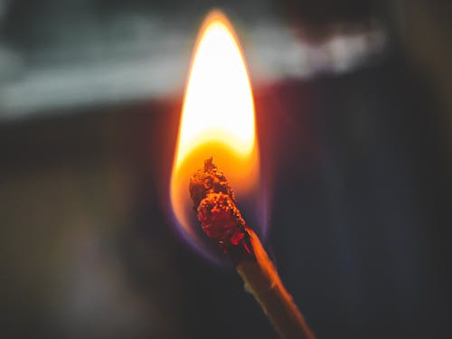 Free stock photo of fire, match stick, match sticks