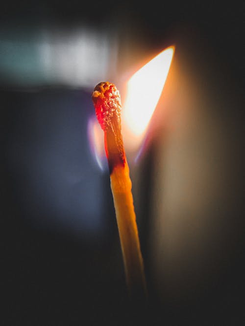 Free stock photo of fire, flame, match stick