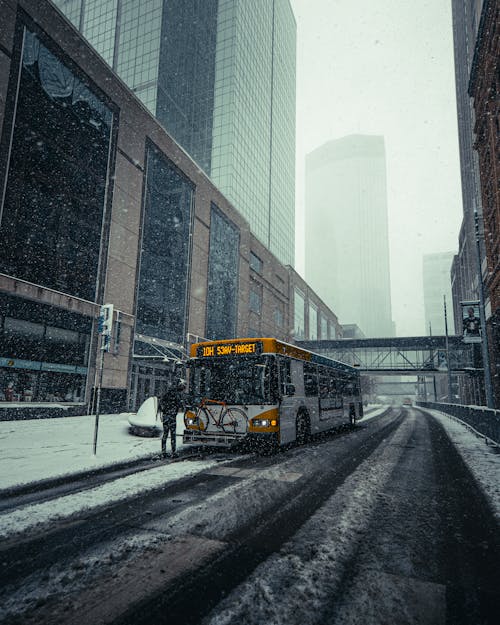 道路上的黃色和黑色校車