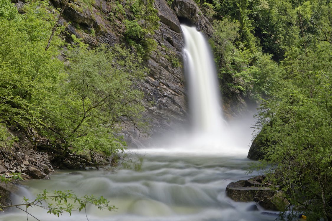 Waterfall Surrounded by Green Plants