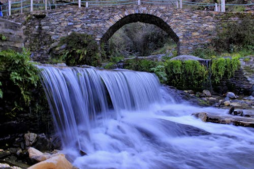 Immagine gratuita di agua, cachoeira, natureza