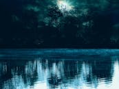 在宁静的湖泊中，倒映着多云的天空下树木的剪影，构成了一幅戏剧性的黄昏场景