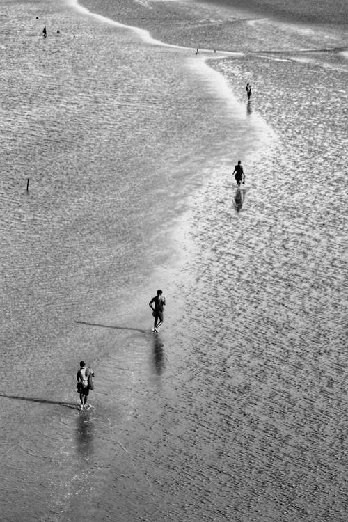 From above of black and white distant anonymous people walking on sandy beach near waving sea on sunny day