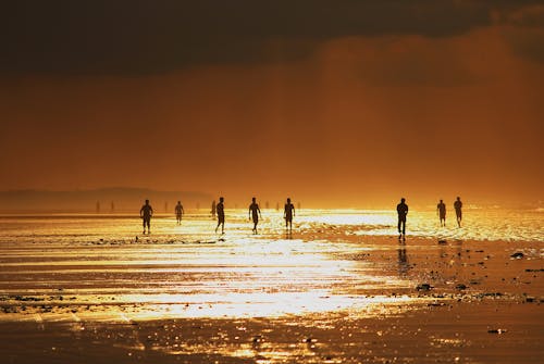 Anonymous peoples enjoying seascape during sunset on shore