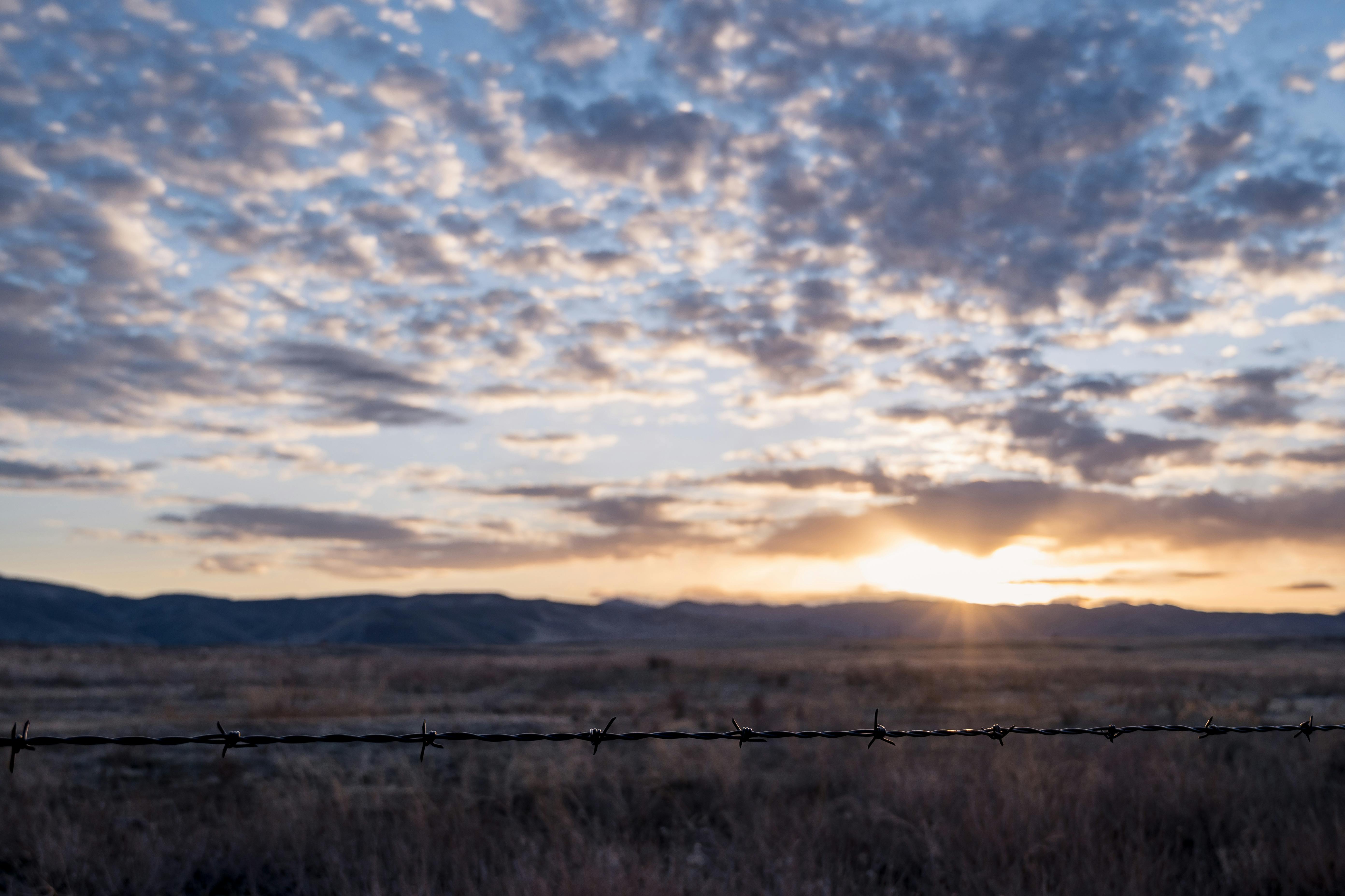Barbed wire fence in peaceful grassy field against picturesque cloudy sunset sky in countryside