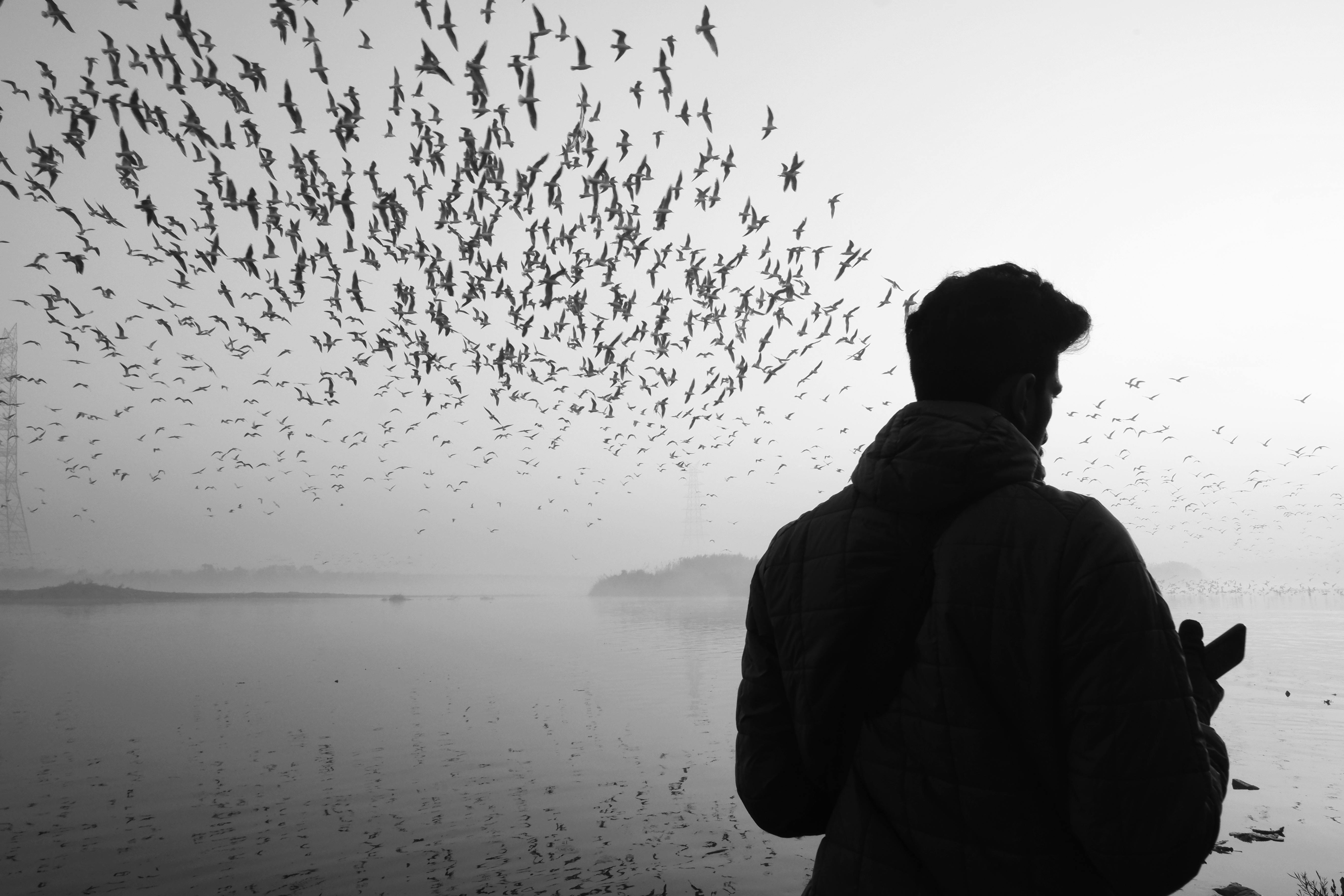 A man watches a dramatic flock of birds over a calm river at dawn, captured in monochrome.