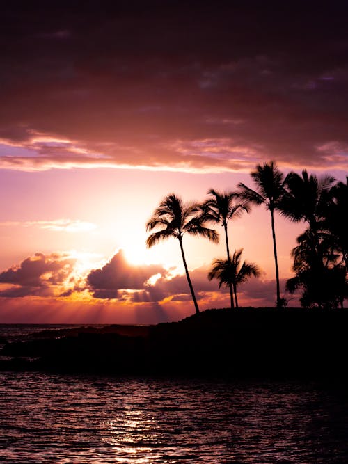 Foto profissional grátis de alvorecer, cair da noite, Havaí