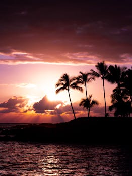 Photo by Peter Luo Silhouetted palm trees against a breathtaking tropical sunset in Kailua-Kona, Hawaii.