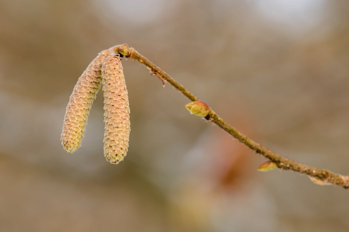 Productivity micro-learning video showing calendar and task management tips