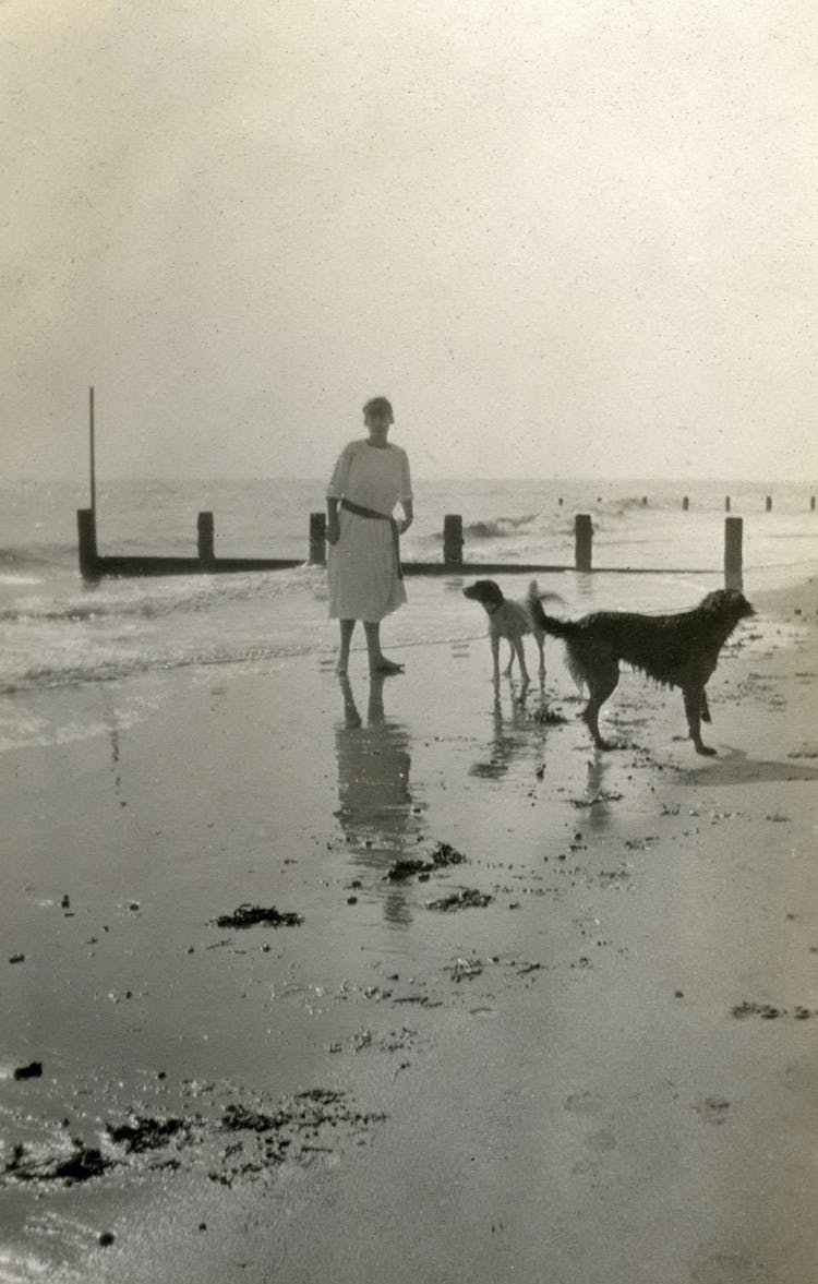 Vintage Photography Of Woman Walking With Her Dogs On Beach