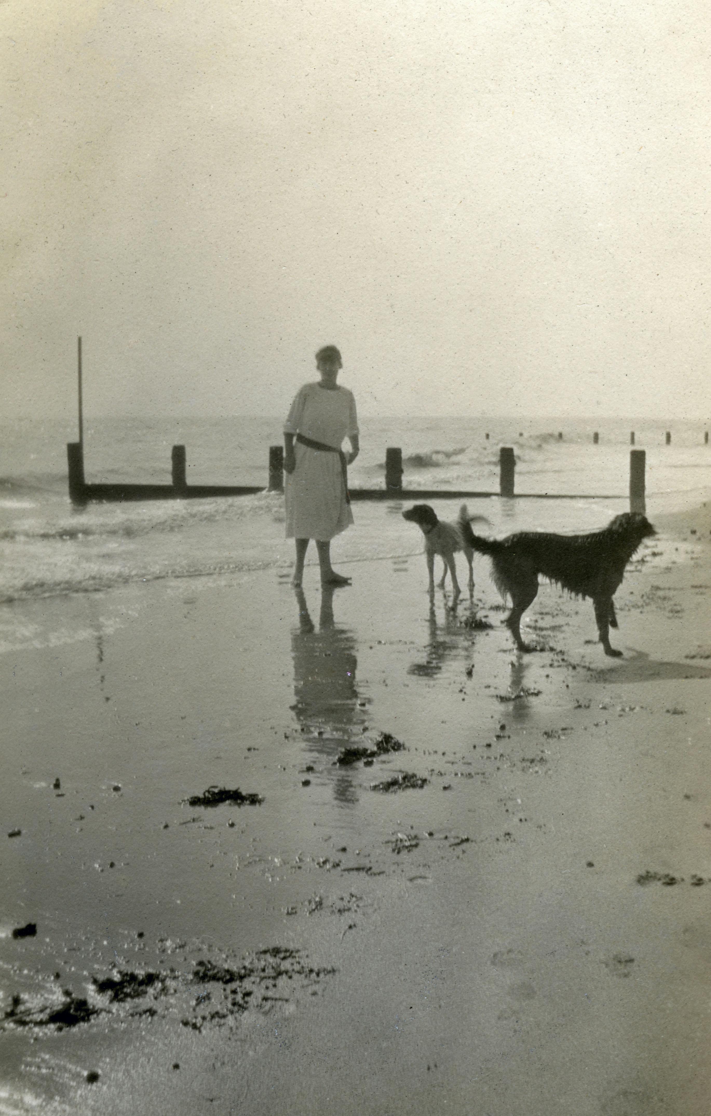 Vintage Photography of Woman Walking With Her Dogs on Beach · Free ...