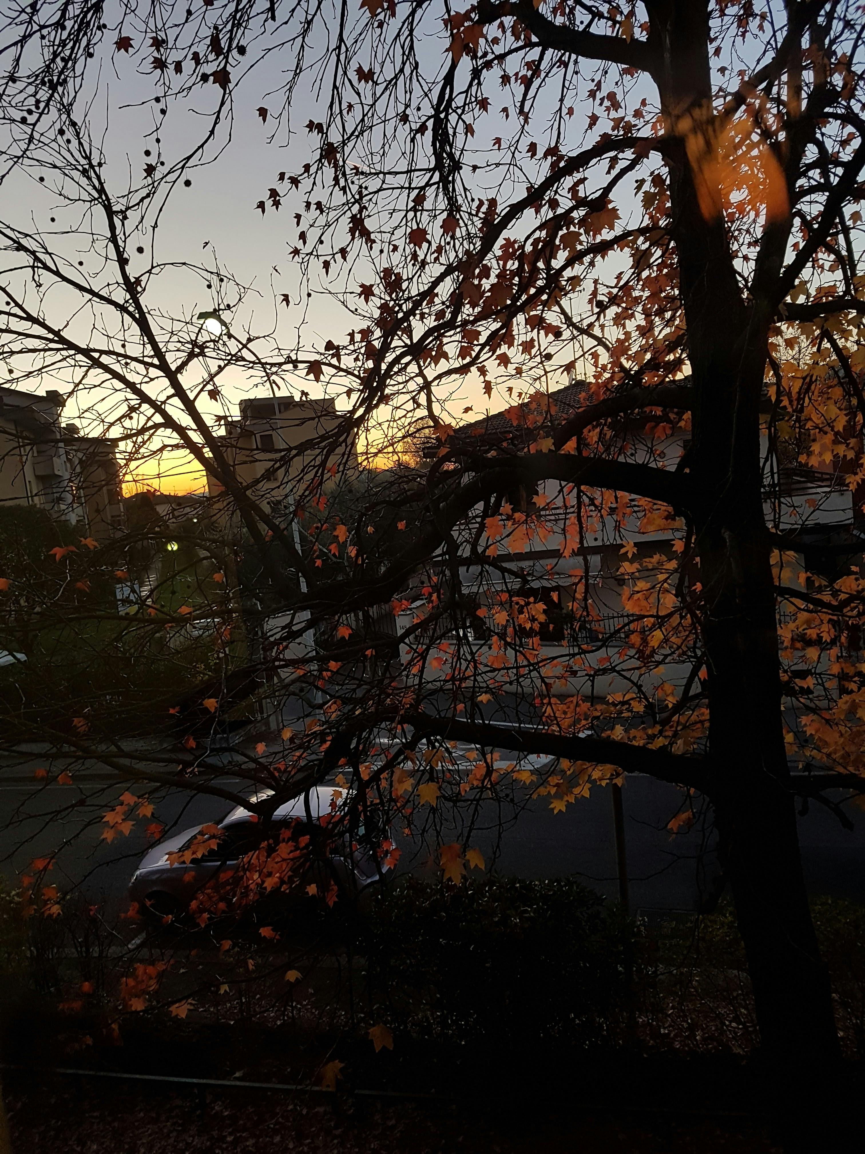 Student-Centered Learning