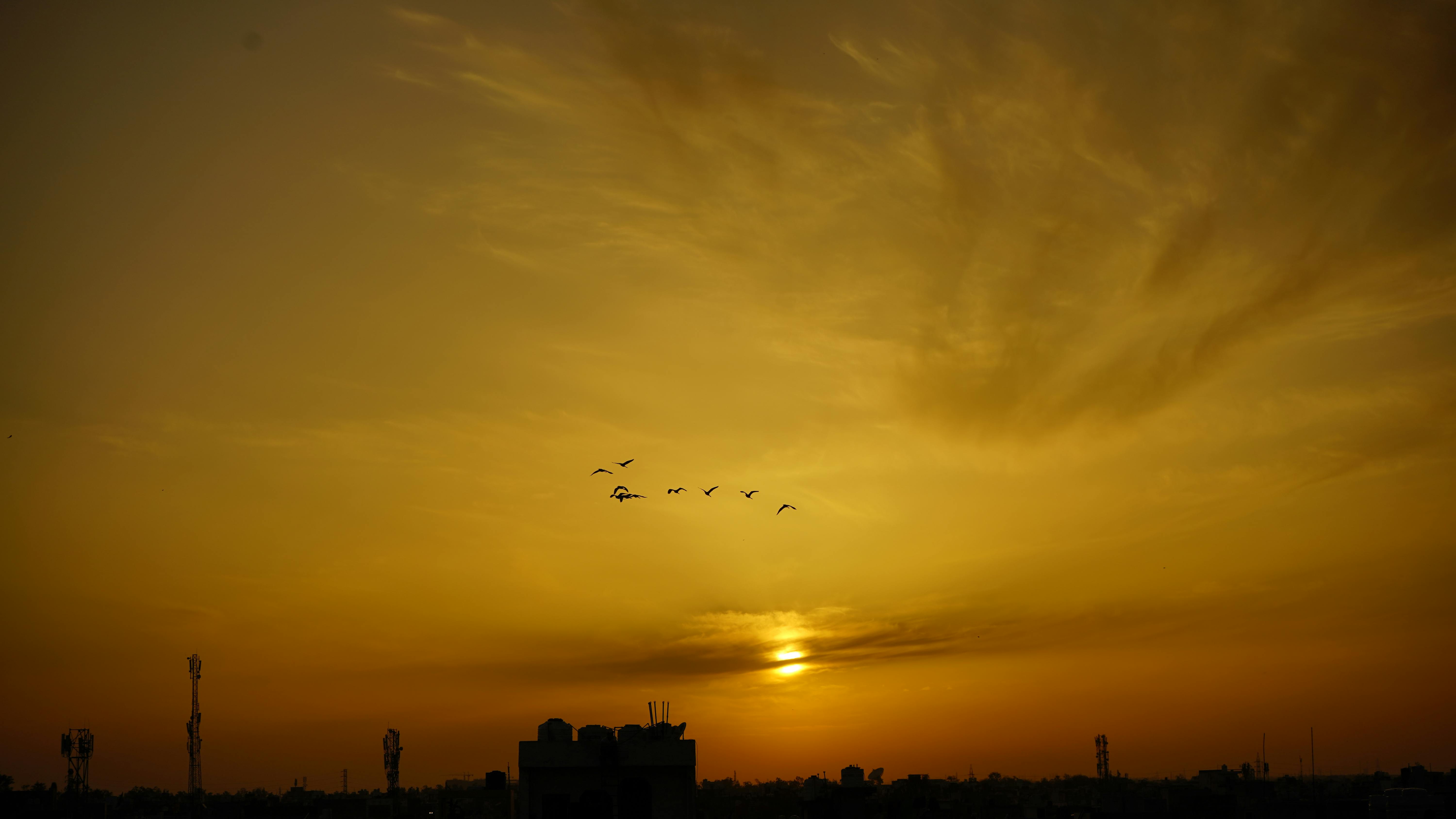 Senior adult focused on a computer screen doing cognitive training