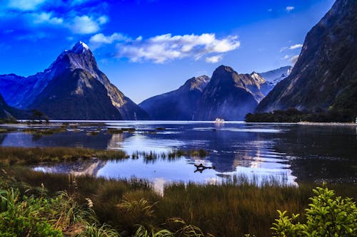 A beautiful image of clean and healthy nature, with trees, sea and mountains