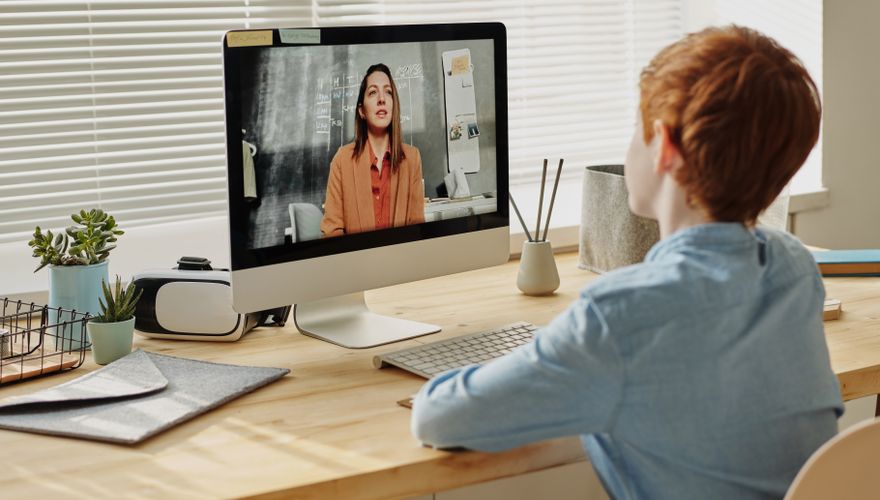 Online learning setup