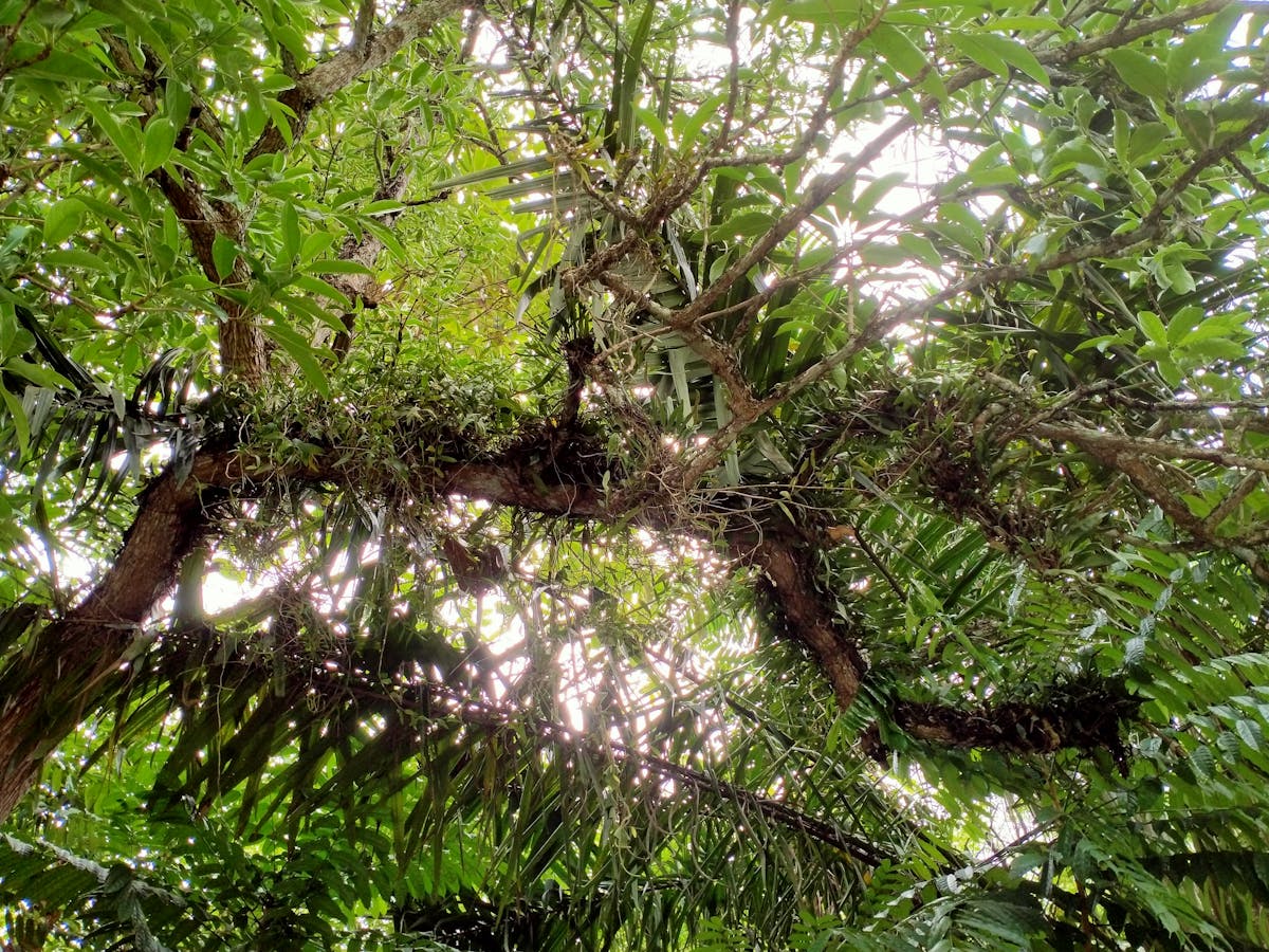 Split image of the same person: one side looking overwhelmed indoors, the other side gently smiling outdoors