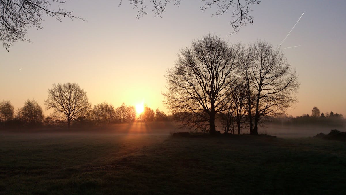 Online Tutor teaching a student via video conference.