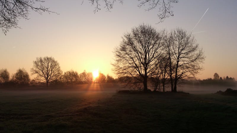 교실에서 발표하는 학생