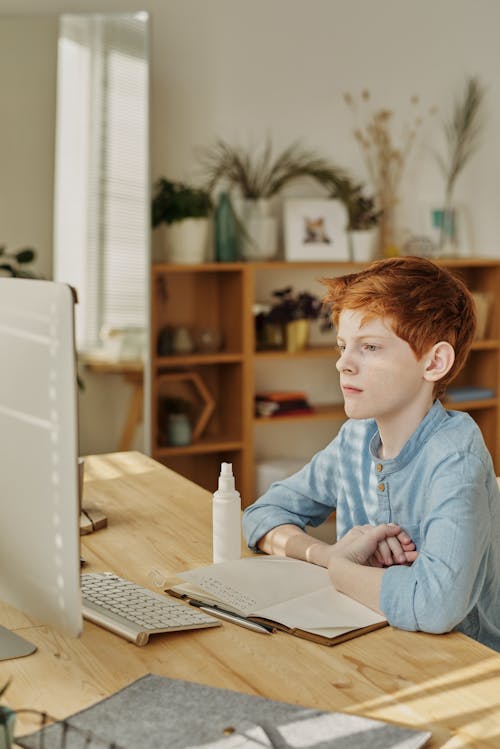 Boy Sitting in Front of a Computer