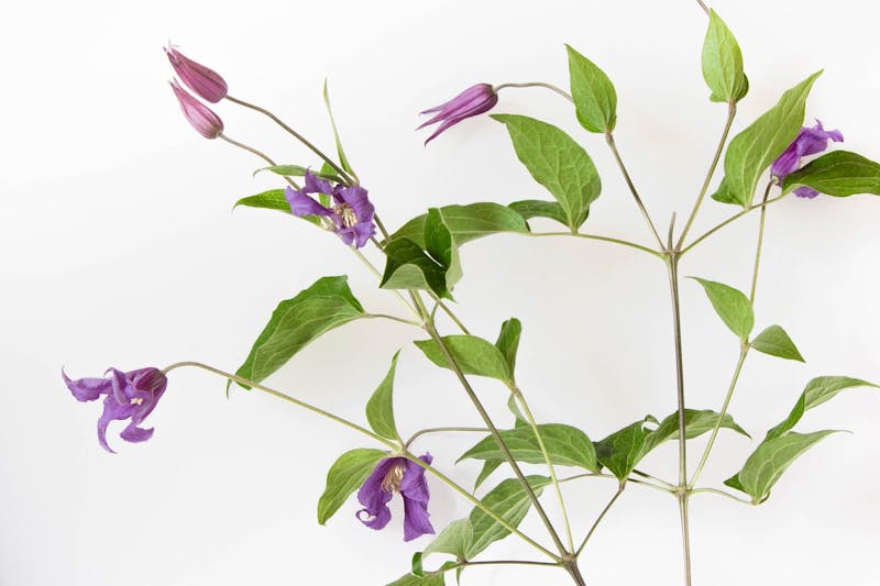 Onderhoudsintervallen van radomes in arctische omstandigheden