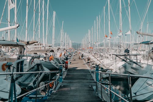 Sailboats Docked at the Marina