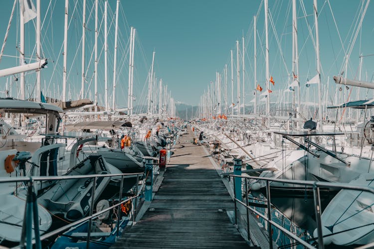 Sailboats Docked At The Marina