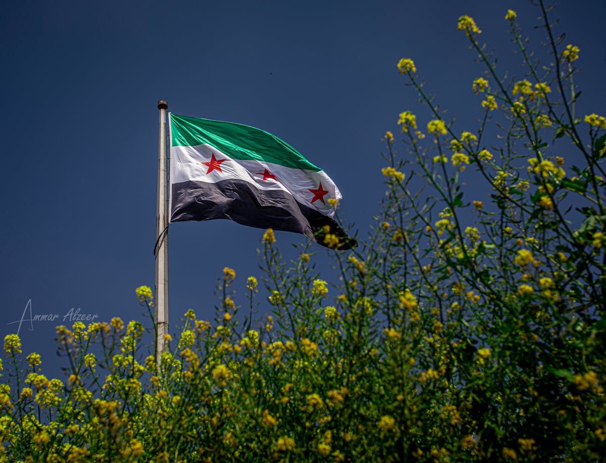 A barista pouring steamed milk into a latte to create a creamy drink