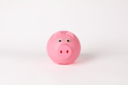 Close-Up Photo of Cute Pink Piggy Bank