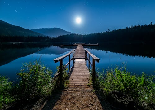 Free Brown Wooden Dock Stock Photo